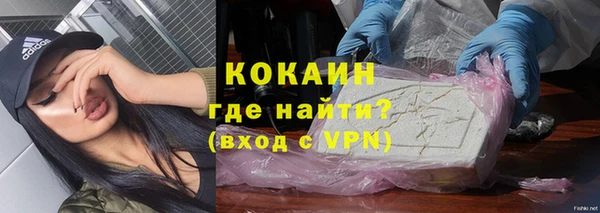 дживик Богородицк