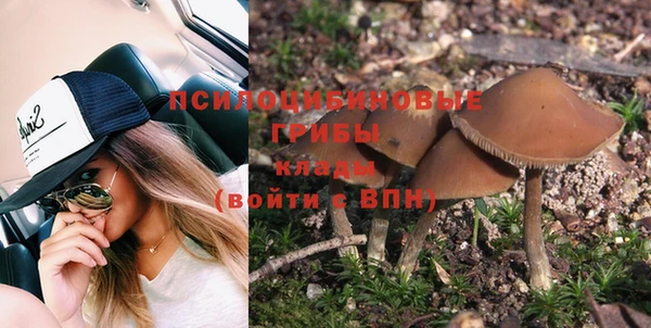 ПСИЛОЦИБИНОВЫЕ ГРИБЫ Богородск