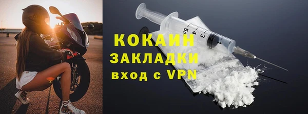 дживик Богородицк