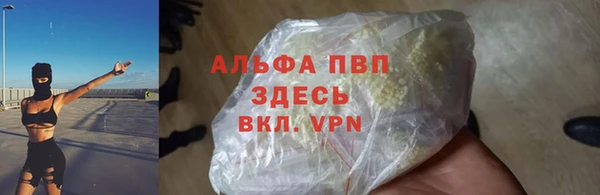 гидра Бронницы