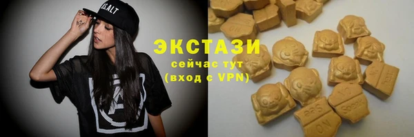 дживик Богородицк