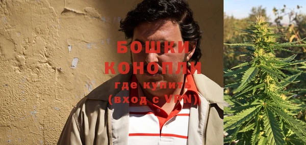 гидра Бронницы