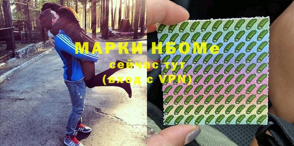дживик Богородицк