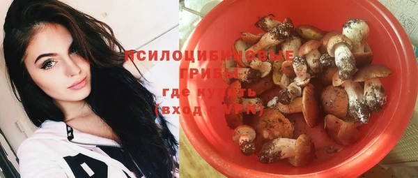 дживик Богородицк